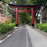 【日本一長い参道ハック】〜オートクリアリング1ヶ月コース；大宮氷川神社参道 - TrysのHP